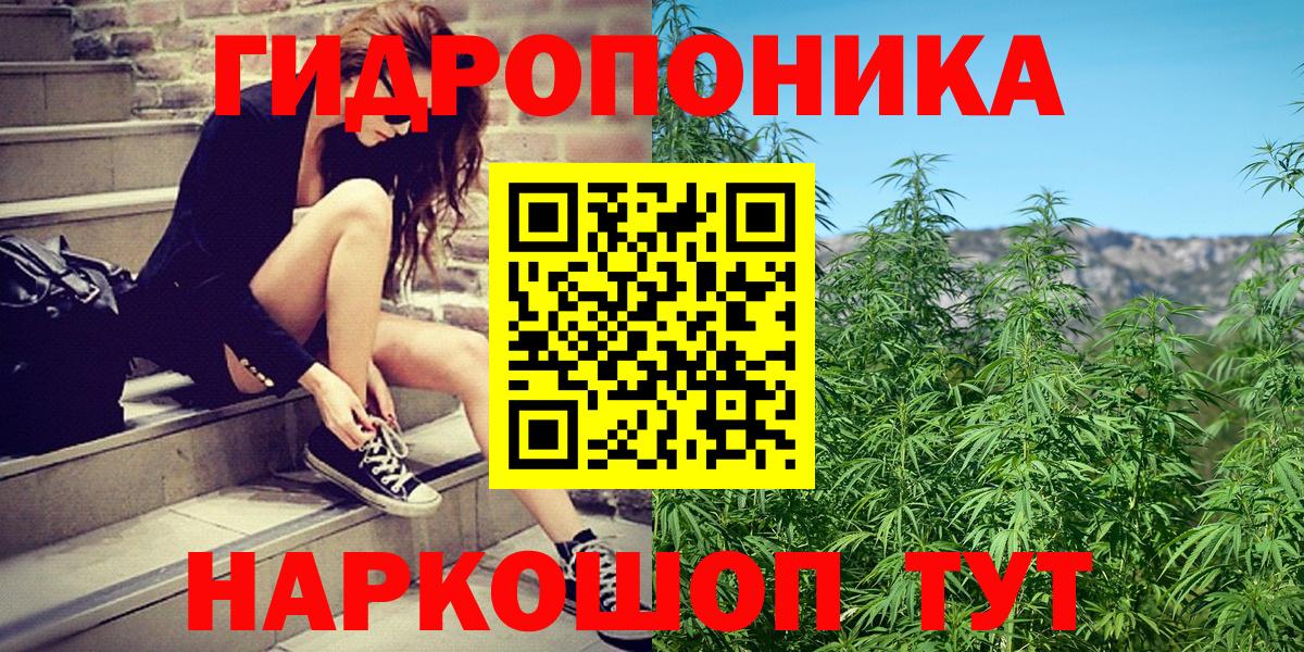 Бошки Шишки MAZAR Кингисепп